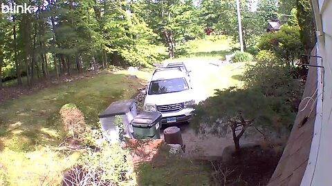 Bear Visit