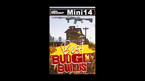 Best Arena Breakout Budget Builds - Mini 14 at $30K
