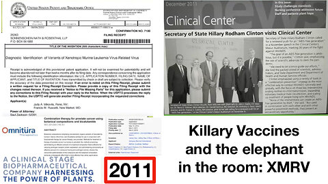 Killary Vaccines and the elephant in the room: XMRV