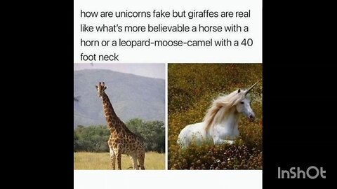 how are unicorns fake but giraffes are real like what's more believable....
