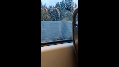 1 Line light rail from Lynnwood to International District.