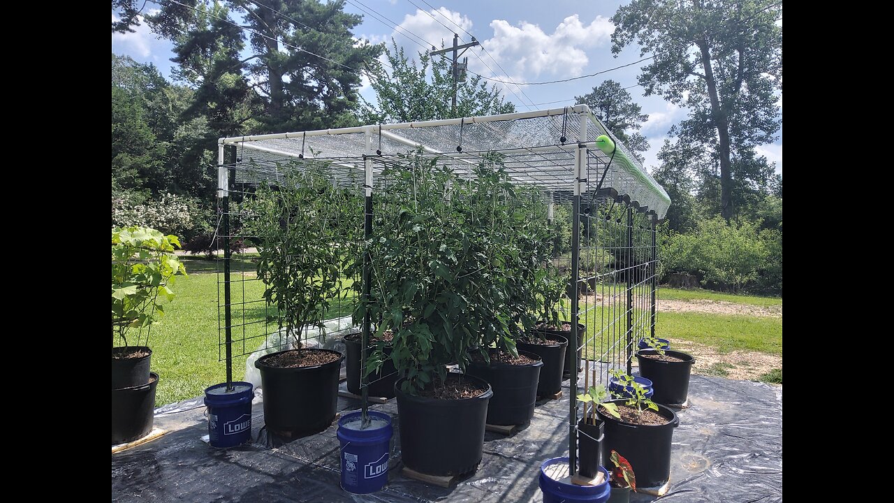 Adding Shade Cloth To Our Gardening Area 6/2/25
