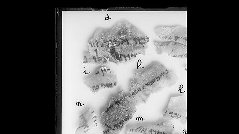 The Yah SHUA Cult & Deception Part Three The Dead Sea Scrolls