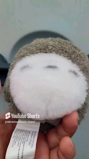 Must Watch! || Totoro Ducking!!