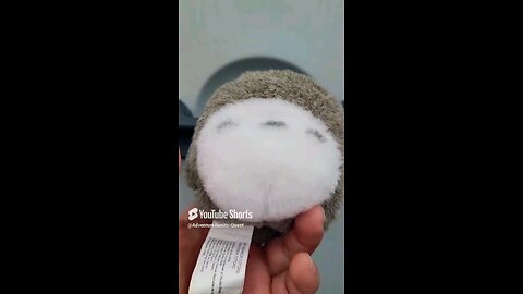 Must Watch! || Totoro Ducking!!