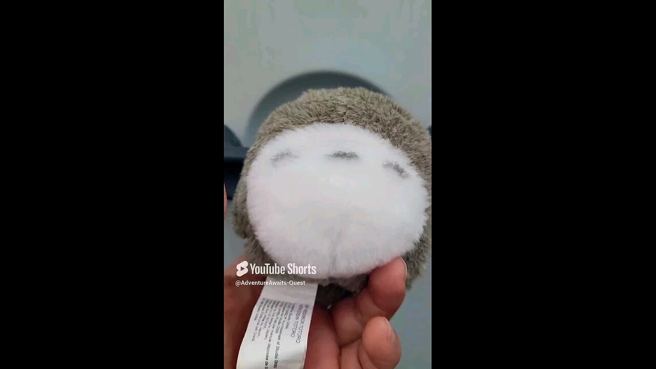 Must Watch! || Totoro Ducking!!
