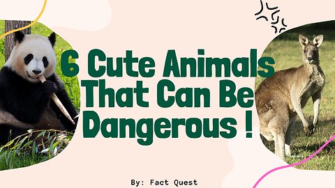 6 Cute Animals That Can Be Dangerous!