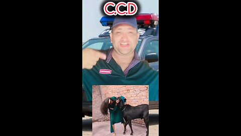 CCD Ka Dar Girls Mein | Funny Reactions & Comedy Moments