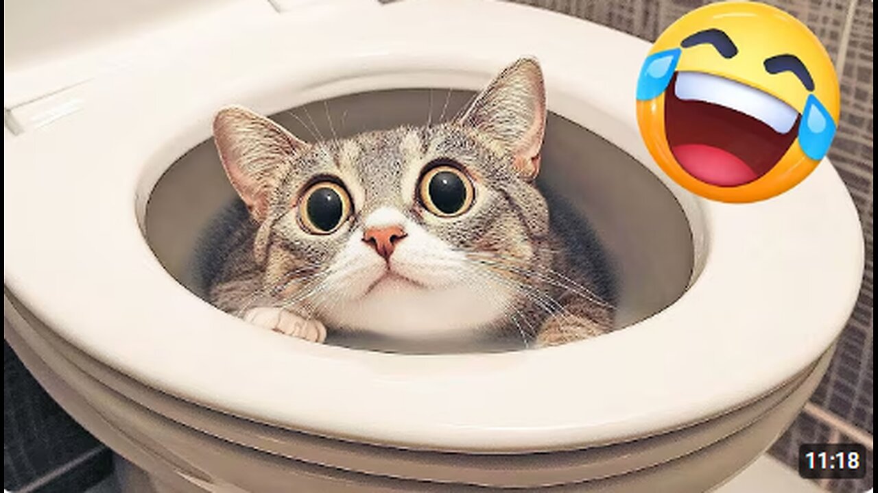 Hilarious CATS 🐱 and DOGS 🐶 Funny Animal Videos 2025 🤣 You Can't Stop Laughing! #