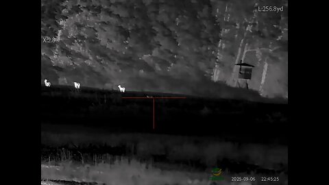 Oneleaf Technology mt1000 50mm Coyote Hunt
