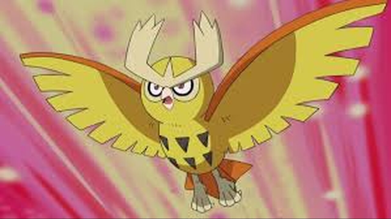 tOOdalOO whOO hOOt