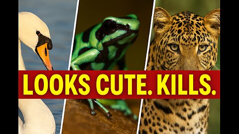 5 Innocent-Looking Animals That Are Secretly Deadly!