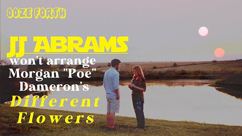 JJ Abram's assistant opens her mystery box in "Different Flowers" (2017) | OOZE FORTH