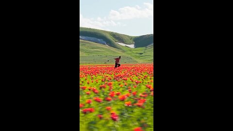 Fro licking in the fields of Kazakhstan 😊 😍