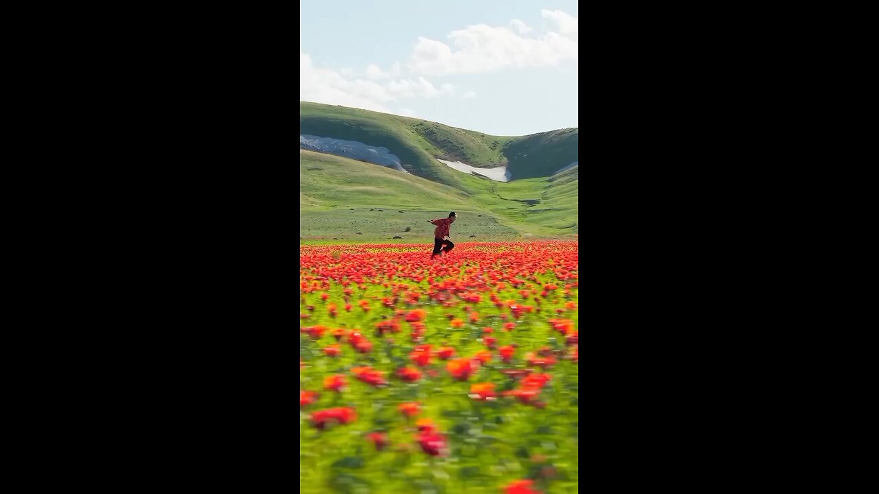 Fro licking in the fields of Kazakhstan 😊 😍
