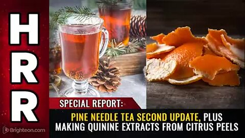 "Special Report: Update on Pine Needle Tea and Quinine Extracts from Citrus Peels"