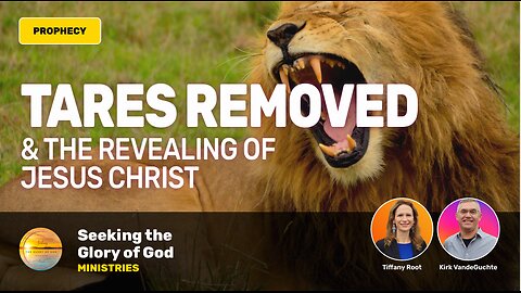 TARES REMOVED! And the Revealing of Jesus Christ (PROPHECY) - Tiffany Root & Kirk VandeGuchte