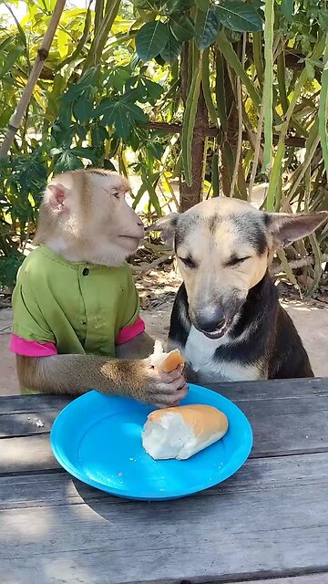 Awesome Video Best SokYaa, OG, Pao & Mom Are Famous Around The World #shorts #anime #trend #edit