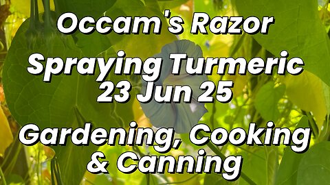 Turmeric Spray – 23 Jun 25 – Occam’s Razor Gardening, Cooking & Canning