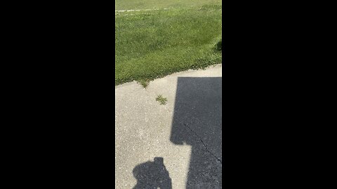 Chemtrails 7/22/25 Michigan