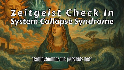 Zeitgeist Check In - System Collapse Syndrome