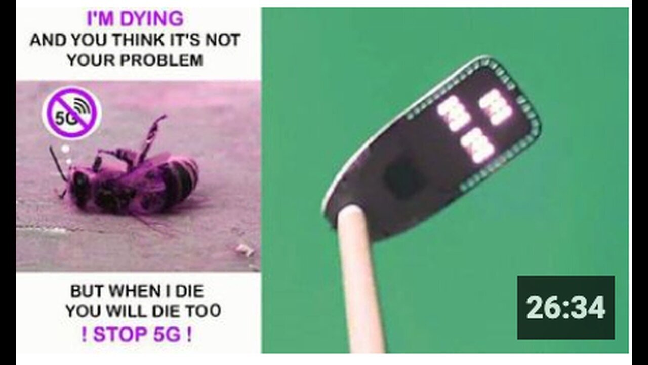 "Part 2: How 5G Electromagnetic Radiation is Devastating Our Wildlife"