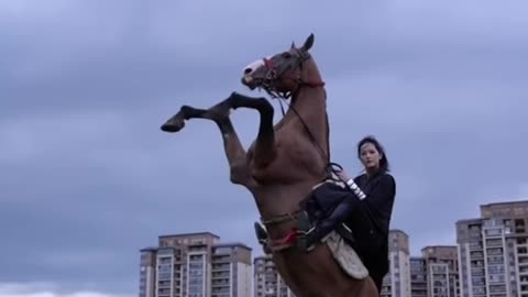 horses #horse #horsegirl #horseenthusiast #equestrian #horsemanship #horsefan