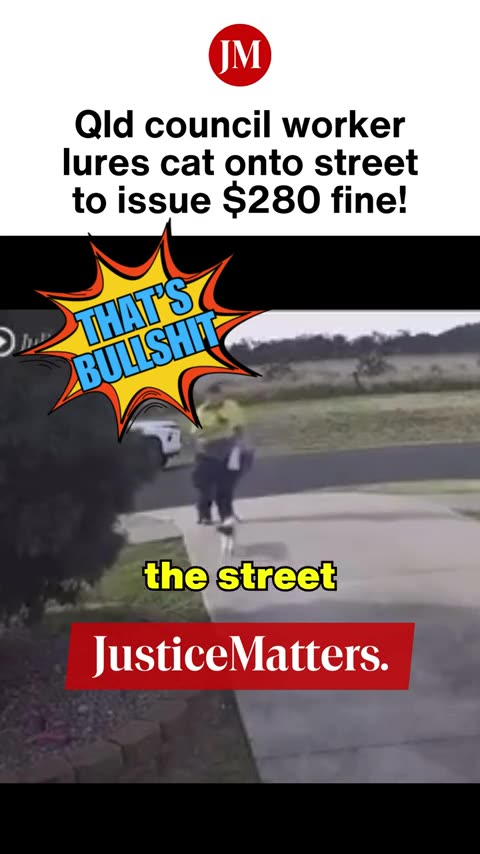 Qld council worker lures cat onto street to issue 280 fine! - Justice Matters