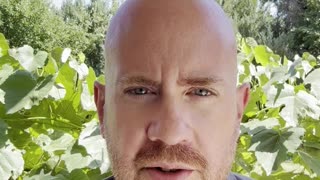 Daily Minute 7/25/25: The DOGE Task Force