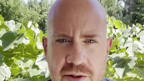 Daily Minute 7/25/25: The DOGE Task Force