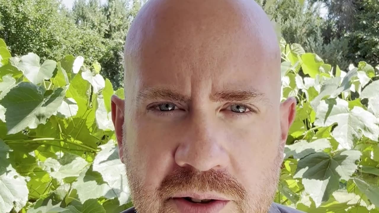 Daily Minute 7/25/25: The DOGE Task Force