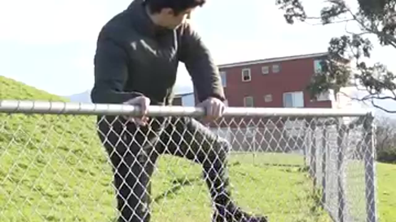 How would different animals jump over the fence would be like