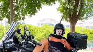 Trasition cats