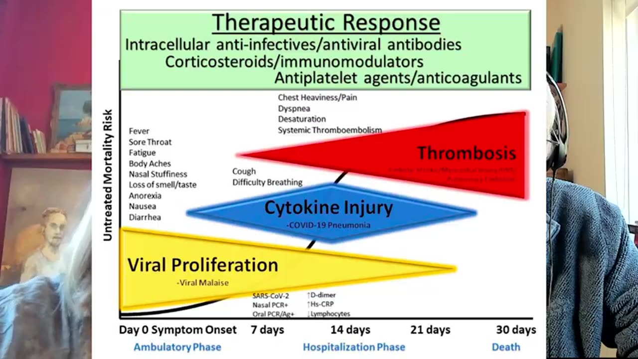 Dr. John Campbell - Ivermectin research