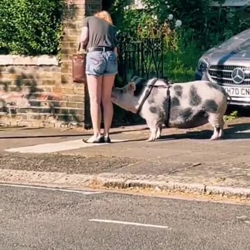 In London some women leave house like this so as not to be harassed by usual suspects.