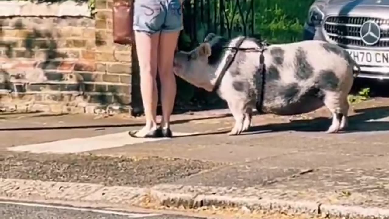 In London some women leave house like this so as not to be harassed by usual suspects.