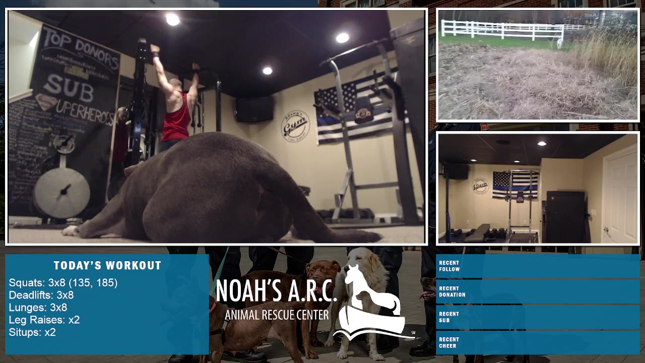 LBL Session w/Hank-a-Tank [Week 14] - No Skip Leg Day // Animal Rescue Stream :)