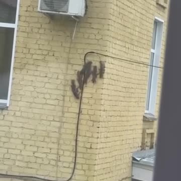 Taking the entire family to the maternity hospital 😊