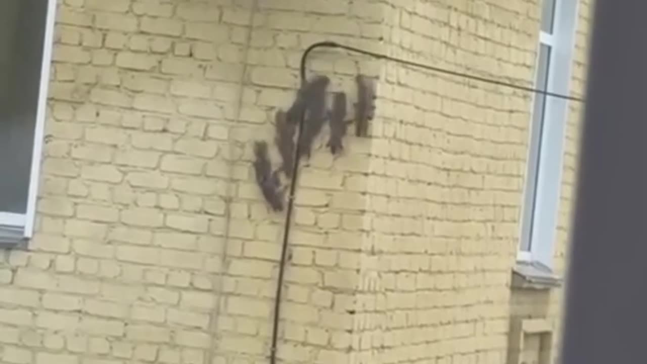 Taking the entire family to the maternity hospital 😊