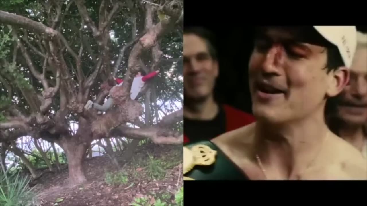 5/29 & 5/30 (2024)