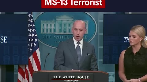 🔥Deputy Chief of Staff for Policy and Homeland Security Advisor Stephen Miller DESTROYS the media: