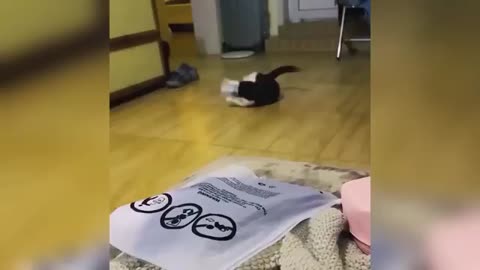 Try not to laugh
