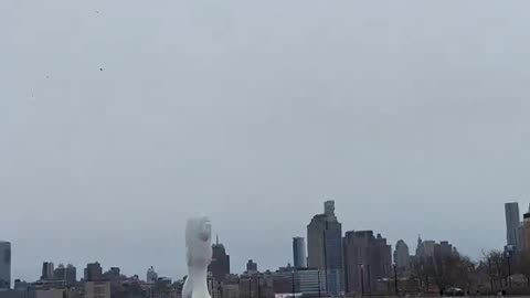 Hudson River helicopter crash
