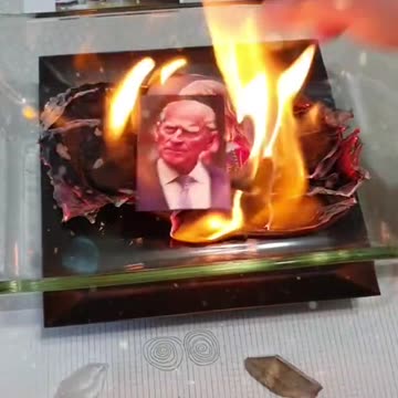 Tim Rifat TikTok Videos