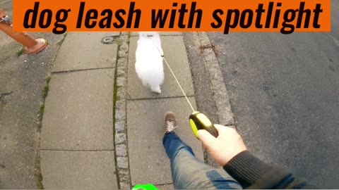 Safe & Stress-Free Night Walks: Retractable Dog Leash with Spotlight & Collar