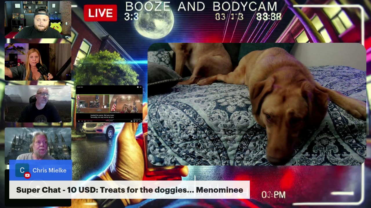 Mr. McGough goes to Court! With Special Guests!