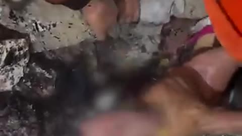 Israel's school attack burns civilians alive - Middle East Eye