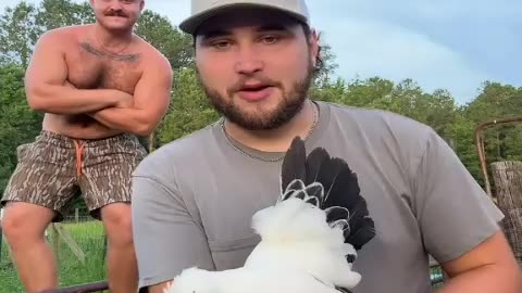 forced to watch chicken and story lol