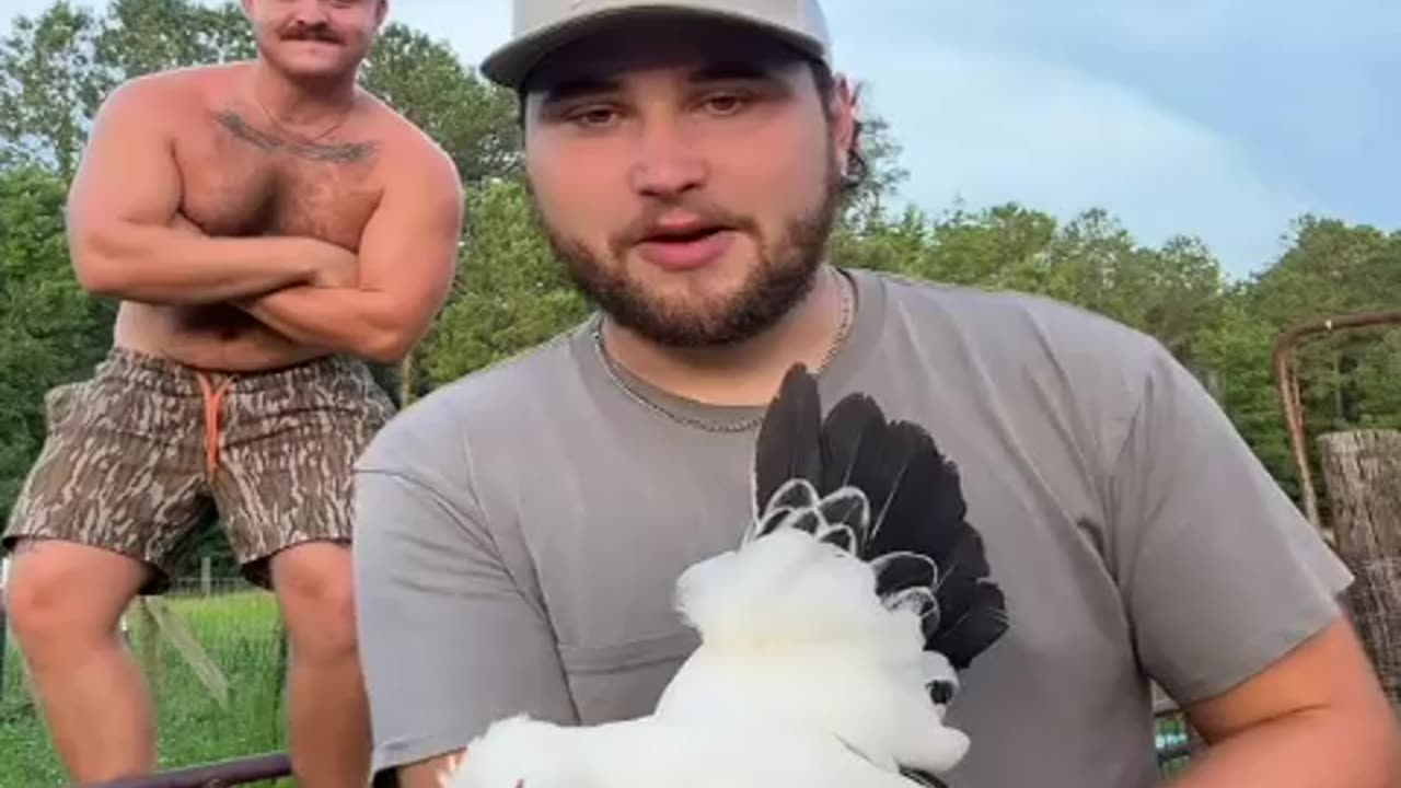 forced to watch chicken and story lol