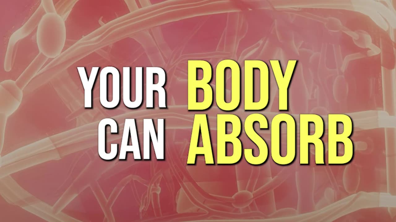 Why Bioavailability Matters: Are You Really Absorbing Your Nutrients?